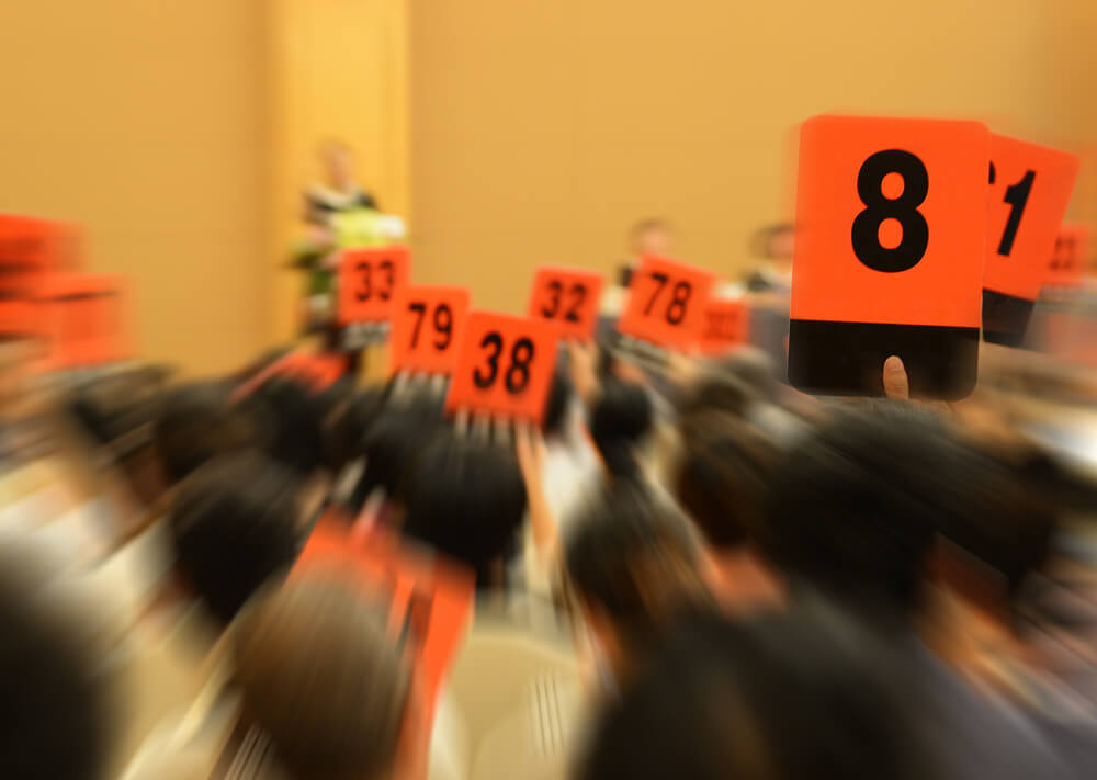 Bids.jpg
