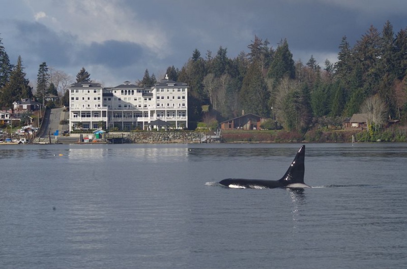 File:BestWesternSooke.jpg